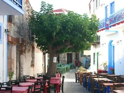 Bay Milia